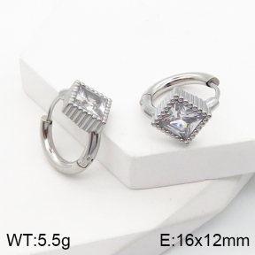 5E4002782bbov-259  Stainless Steel Earrings