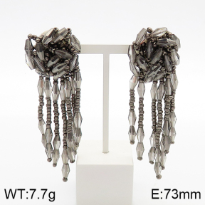 F5E401586vhha-K53  Stainless Steel Earrings