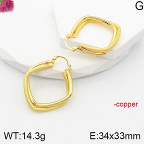 F5E201163vbnl-J165  Fashion Copper Earrings