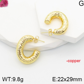 F5E201166bbov-J165  Fashion Copper Earrings