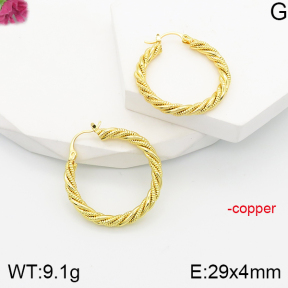 F5E201170vbnl-J165  Fashion Copper Earrings
