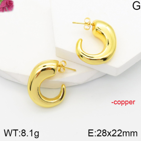 F5E201171bbov-J165  Fashion Copper Earrings