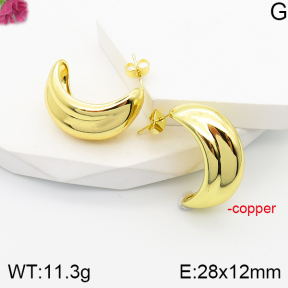 F5E201180vbnb-J165  Fashion Copper Earrings