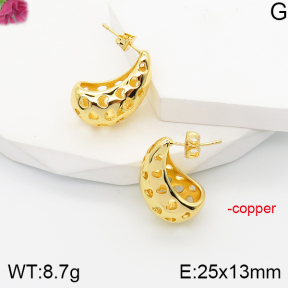 F5E201181vbnl-J165  Fashion Copper Earrings
