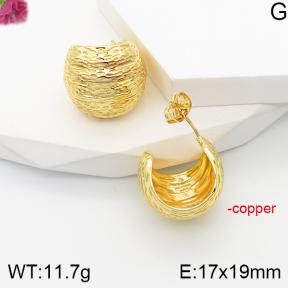 F5E201185bbov-J165  Fashion Copper Earrings