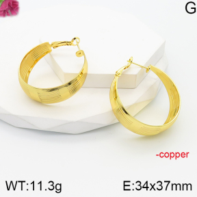 F5E201231vbnl-J165  Fashion Copper Earrings