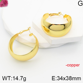 F5E201258vbnl-J165  Fashion Copper Earrings