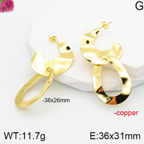 F5E201263vbnl-J165  Fashion Copper Earrings