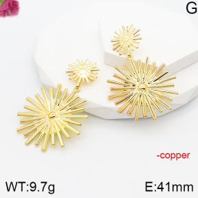 F5E201271vbnl-J165  Fashion Copper Earrings