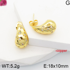 F5E401566vbnb-J165  Fashion Copper Earrings