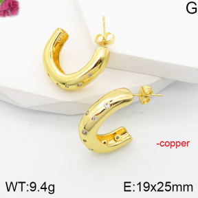 F5E401569bbov-J165  Fashion Copper Earrings