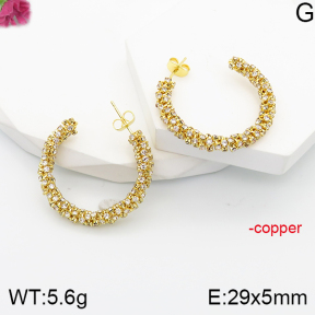 F5E401572abol-J165  Fashion Copper Earrings