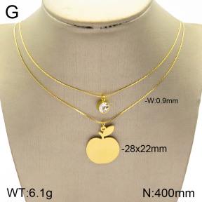 2N4002517ablb-698  Stainless Steel Necklace
