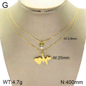 2N4002520ablb-698  Stainless Steel Necklace