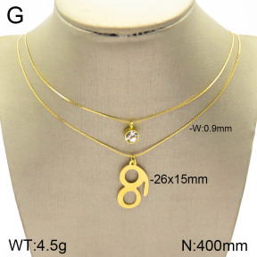 2N4002524ablb-698  Stainless Steel Necklace
