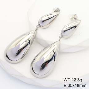 6E2006570bhia-066  Stainless Steel Earrings  Handmade Polished
