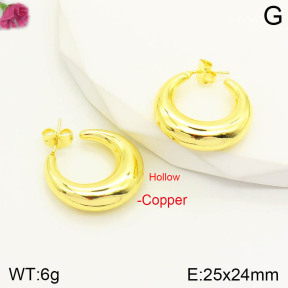 F2E200671vbnb-J167  Fashion Copper Earrings