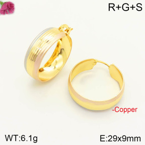 F2E200685ablb-J167  Fashion Copper Earrings