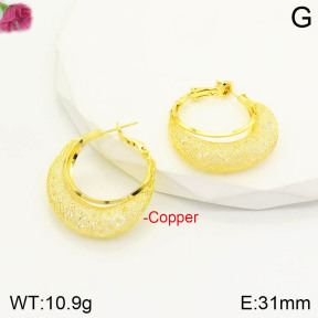 F2E401128bbov-J167  Fashion Copper Earrings