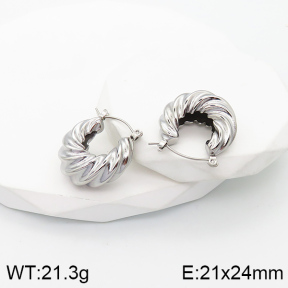 5E2003422bhva-066  Stainless Steel Earrings  Handmade Polished