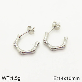 2E2002914vbmb-636  Stainless Steel Earrings