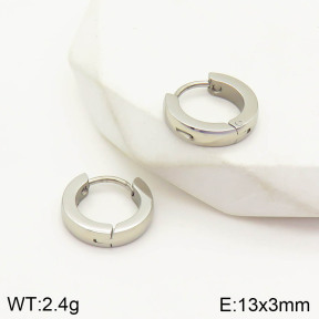 2E2002947baka-636  Stainless Steel Earrings