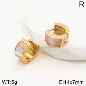 2E3001806vbpb-636  Stainless Steel Earrings