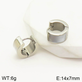 2E3001807bbov-636  Stainless Steel Earrings