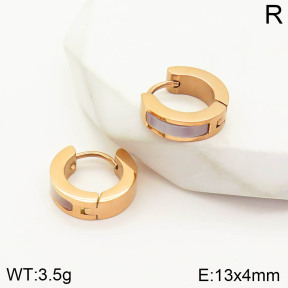 2E3001810vbpb-636  Stainless Steel Earrings