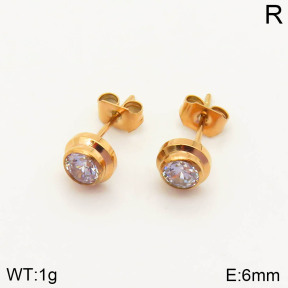 2E4002834vbmb-636  Stainless Steel Earrings