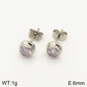 2E4002835ablb-636  Stainless Steel Earrings