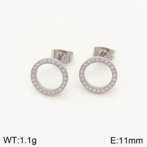 2E4002838vhmv-636  Stainless Steel Earrings