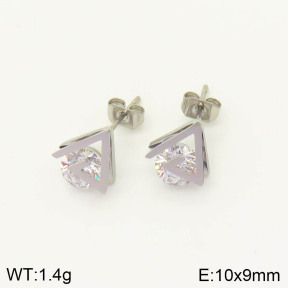 2E4002841vbmb-636  Stainless Steel Earrings