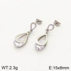 2E4002844vbmb-636  Stainless Steel Earrings