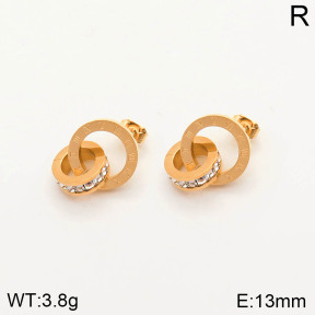 2E4002852bhva-636  Stainless Steel Earrings