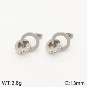 2E4002853vbpb-636  Stainless Steel Earrings