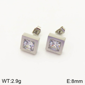 2E4002856vbmb-636  Stainless Steel Earrings