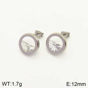 2E4002859vbnb-636  Stainless Steel Earrings