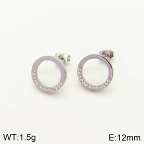 2E4002865vbpb-636  Stainless Steel Earrings