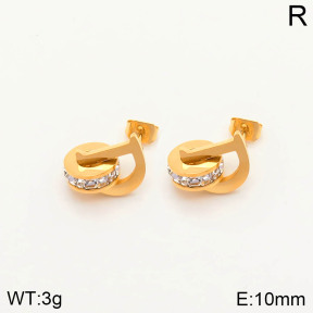 2E4002870bhva-636  Stainless Steel Earrings