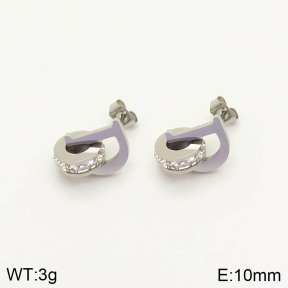 2E4002871vbpb-636  Stainless Steel Earrings