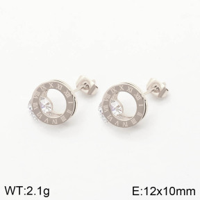 2E4002886vbmb-636  Stainless Steel Earrings