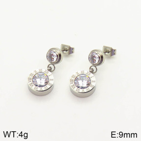 2E4002892vbpb-636  Stainless Steel Earrings