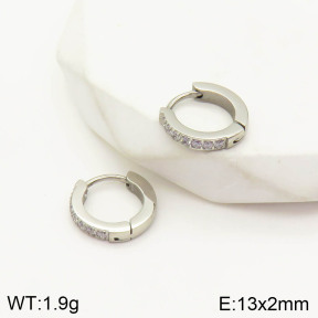 2E4002901bhva-636  Stainless Steel Earrings