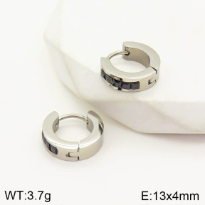 2E4002904bbov-636  Stainless Steel Earrings