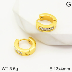 2E4002905vbpb-636  Stainless Steel Earrings