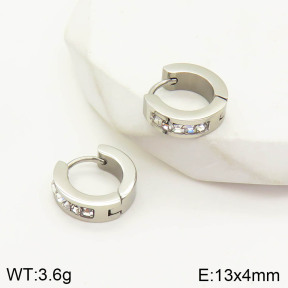 2E4002907bbov-636  Stainless Steel Earrings