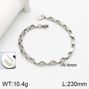 5B2001955aajl-350  Stainless Steel Bracelet