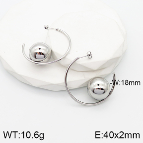 5E2003554vhnv-669  Stainless Steel Earrings