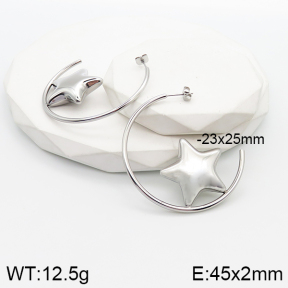 5E2003556vhol-669  Stainless Steel Earrings